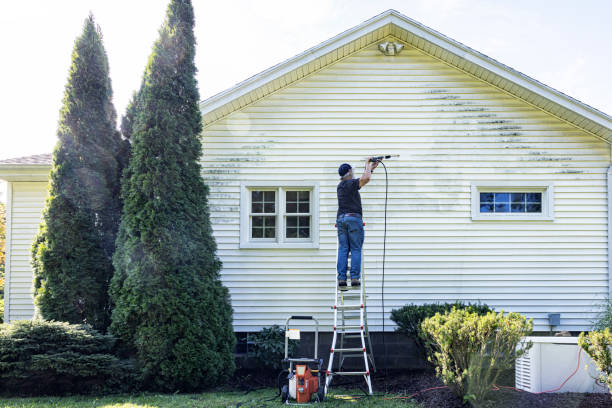 Best Deck Cleaning Services  in Nd Lake, WI